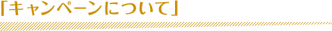 「キャンペーンについて」